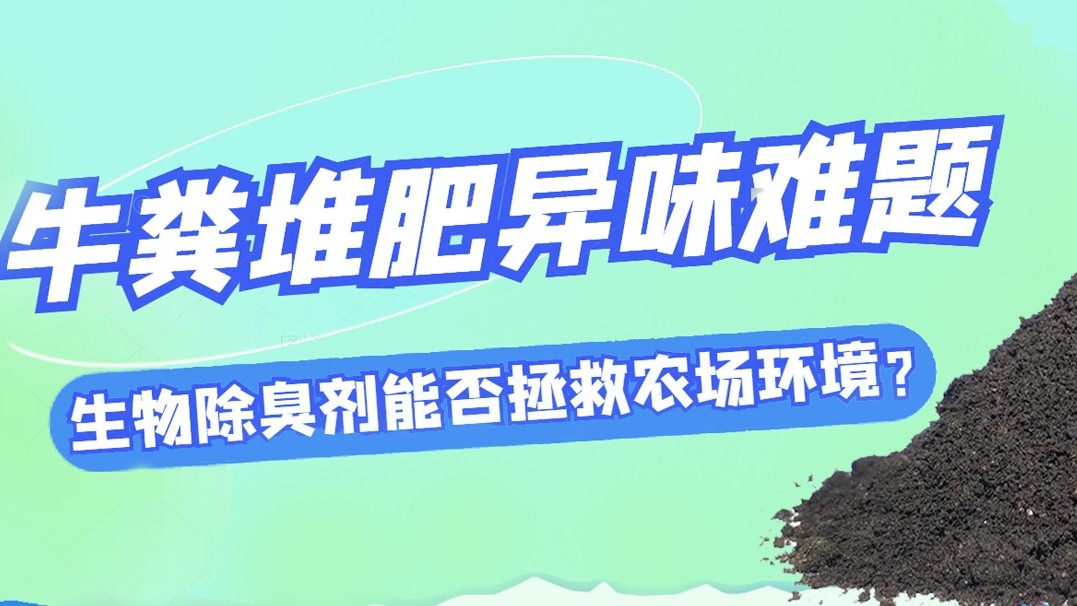 牛糞堆肥異味難題，生物除臭劑能否拯救農(nóng)場環(huán)境？