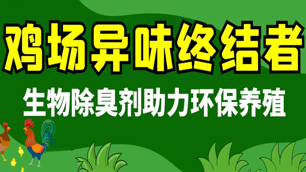 雞場異味終結(jié)者：生物除臭劑助力環(huán)保養(yǎng)殖