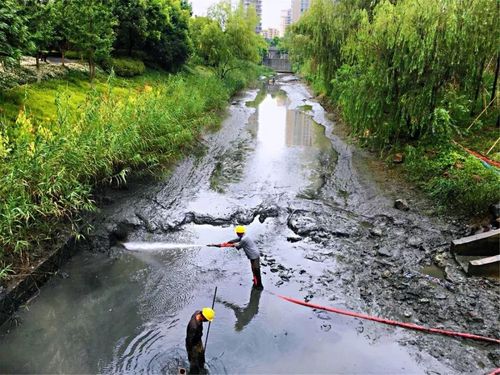 為什么微生物除臭劑可以直接加到水里？不會(huì)污染水嗎？