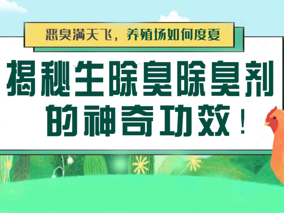 惡臭滿天飛，養(yǎng)殖場如何度夏？揭秘生物除臭劑的神奇功效！