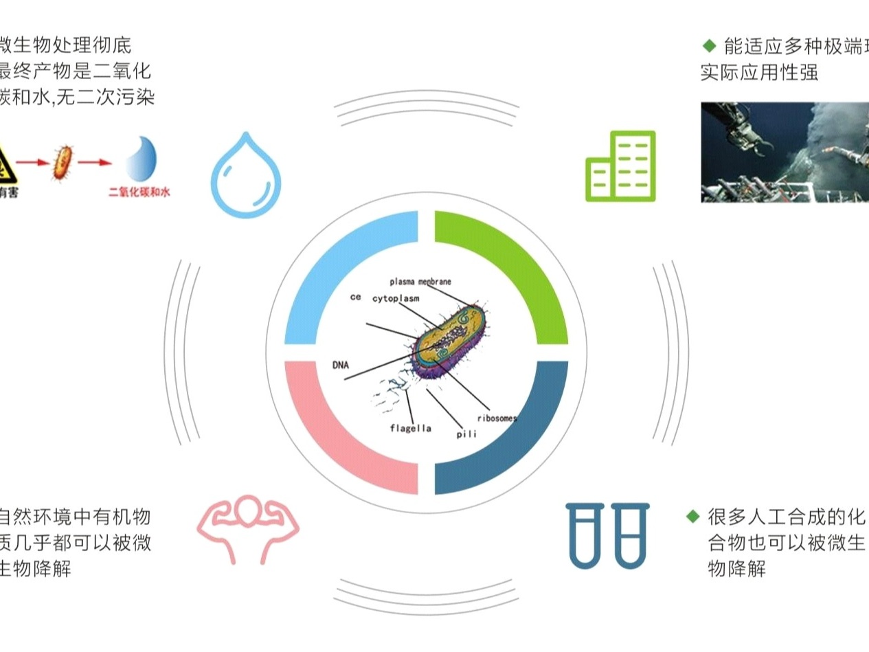 微生物除臭劑與傳統(tǒng)除臭劑相比有何優(yōu)勢？